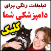 تبلیغ